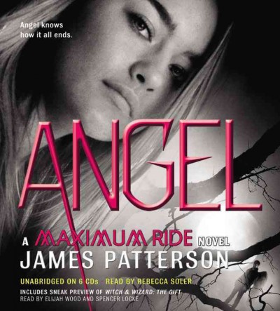 Angel [sound recording] / James Patterson.