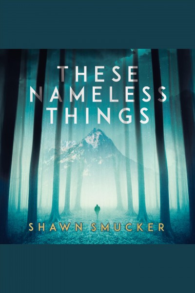 These nameless things [electronic resource] / Shawn Smucker.