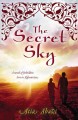 The secret sky : a novel of forbidden love in Afghanistan  Cover Image
