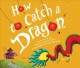 How to catch a dragon Cover Image
