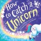 How to catch a unicorn Cover Image