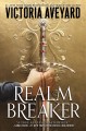 Realm breaker  Cover Image